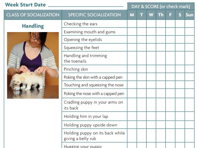 Puppy Socialization Checklist App Puppy Socialization